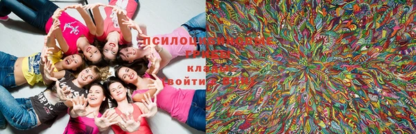 ECSTASY Кодинск