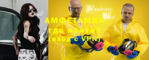 индика Козловка