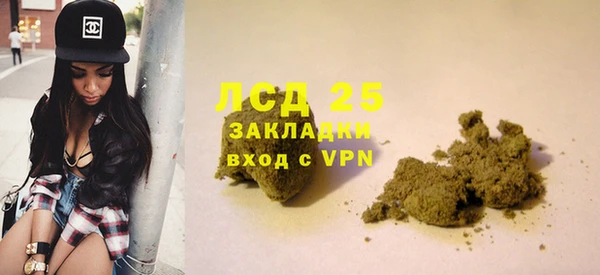 индика Козловка