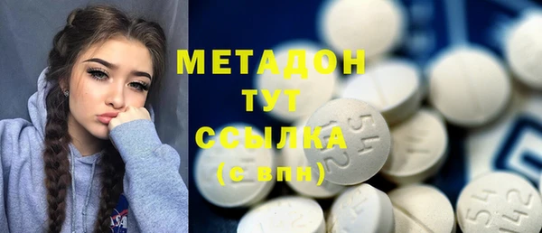 индика Козловка