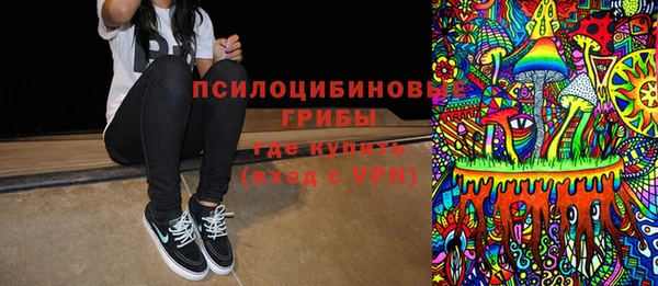 ГАЛЛЮЦИНОГЕННЫЕ ГРИБЫ Козельск