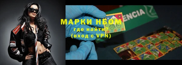 индика Козловка