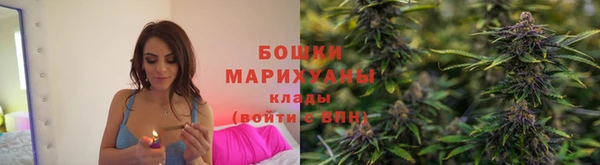 ГАЛЛЮЦИНОГЕННЫЕ ГРИБЫ Козельск