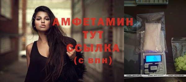 ГАЛЛЮЦИНОГЕННЫЕ ГРИБЫ Козельск