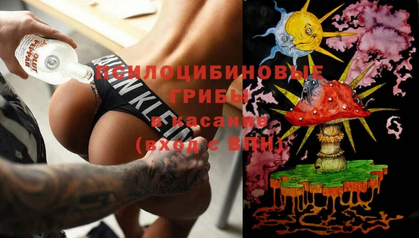 ГАЛЛЮЦИНОГЕННЫЕ ГРИБЫ Козельск