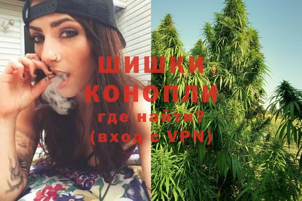 ГАЛЛЮЦИНОГЕННЫЕ ГРИБЫ Козельск