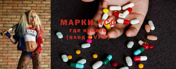индика Козловка
