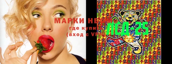 ГАЛЛЮЦИНОГЕННЫЕ ГРИБЫ Козельск