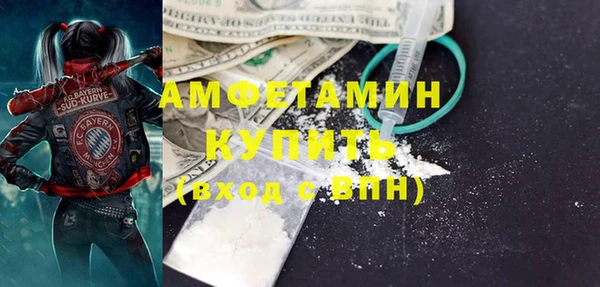 индика Козловка