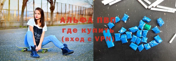 индика Козловка
