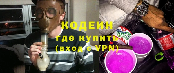 индика Козловка