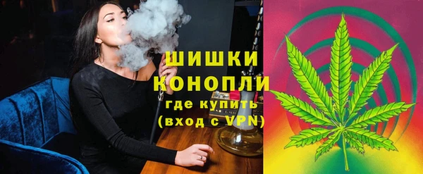 ГАЛЛЮЦИНОГЕННЫЕ ГРИБЫ Козельск