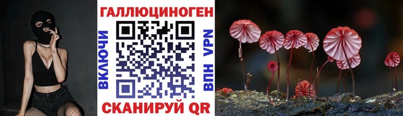 Галлюциногенные грибы ЛСД  Купить закладки  Камышин 